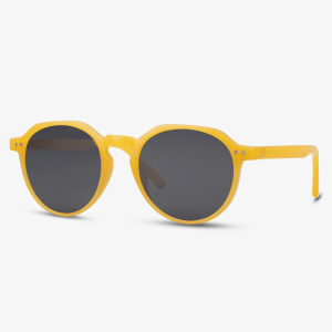 Wayfarer Sunglasses